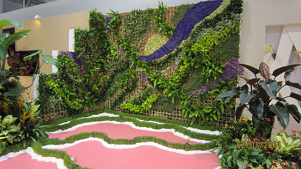 IMG_8658.JPG