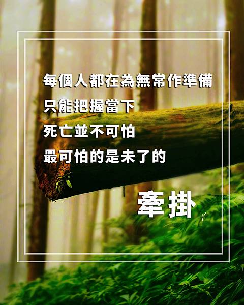 圖文字p 心情小語 人生名言勵志短語圖 3 宅妹的日常 痞客邦