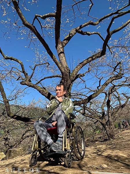 遙遠的路途,心靈的旅程:林老的蔡家梅園之旅