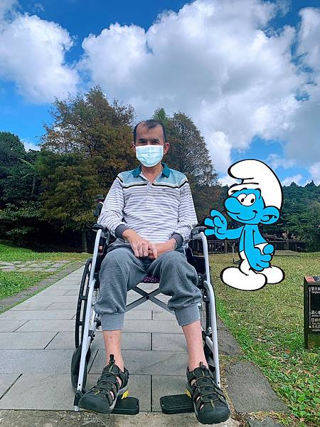 陽明山冷擎步道與落羽松有約