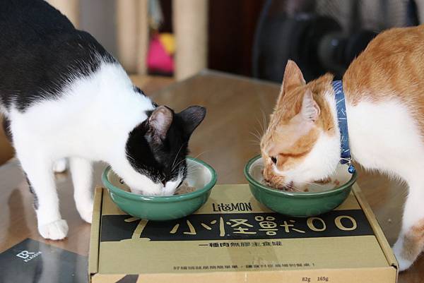 5-4飼料以外, 你可以這樣濕食-怪獸部落雞鱉鰹.JPG