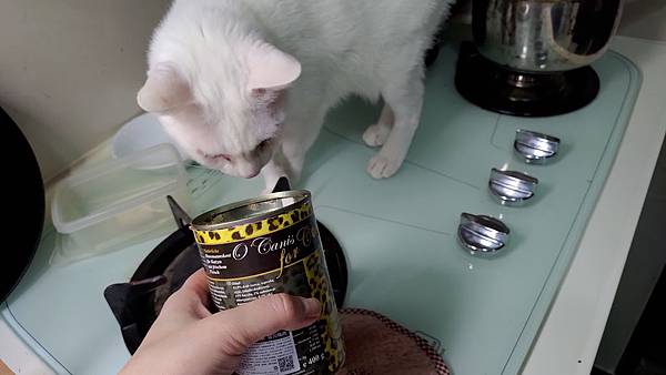 飼料以外, 你可以這樣濕食-德國歐卡尼主食009.jpg