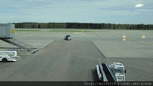 赫爾辛基機場外一排的針葉林