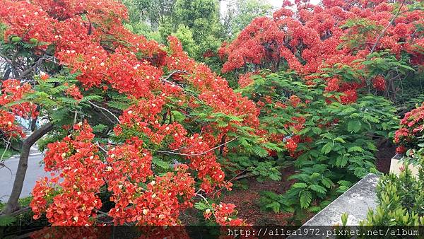 小琉球必玩景點 (103).jpg