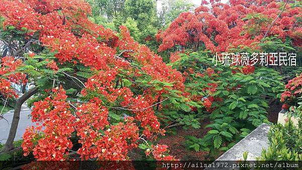 小琉球必玩景點 (104).jpg