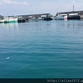 大福漁港107 (13).jpg