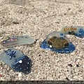 20170621-Beach Money02.jpg