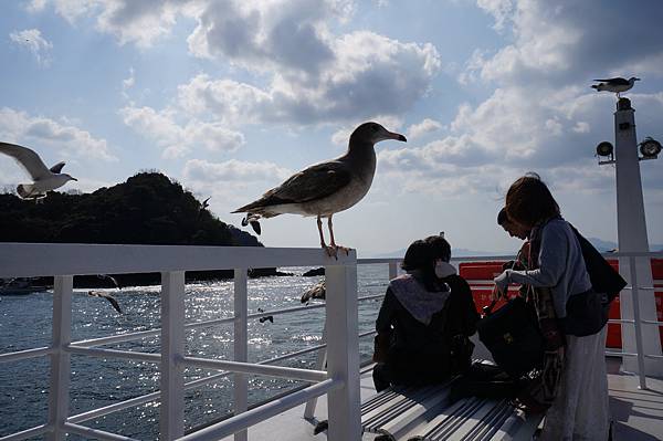 DSC01571.JPG DSC01571.JPG