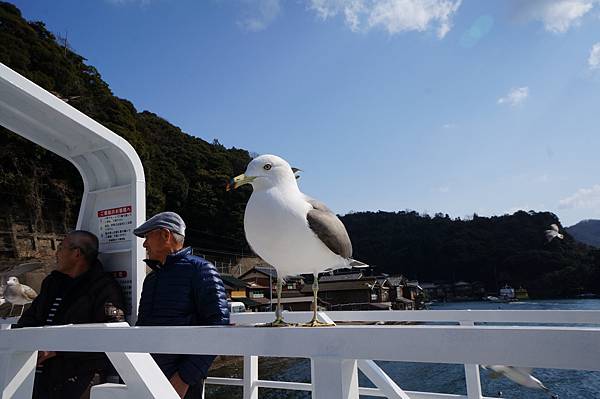 DSC01574.JPG DSC01574.JPG