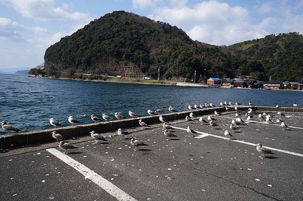 DSC01555.JPG DSC01555.JPG