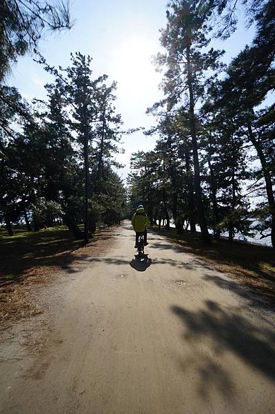 DSC01618.JPG DSC01618.JPG