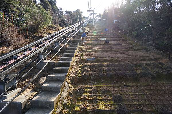 DSC01647.JPG DSC01647.JPG