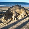 dragon in Noosa