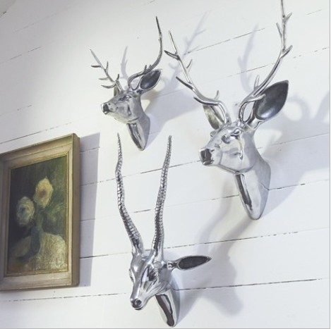graham & green_Deer & Stag Heads With Antlers.jpg