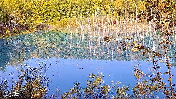 aina北海道vlog day3-10.jpg aina北海道vlog day3-10.jpg