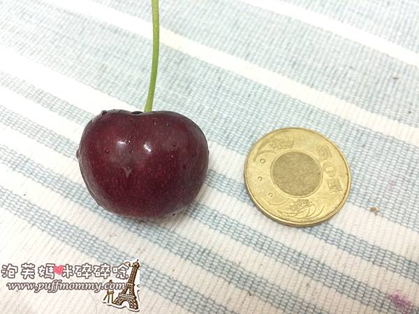 [美食ღ網購] 販奇網頂級紐西蘭紅櫻桃