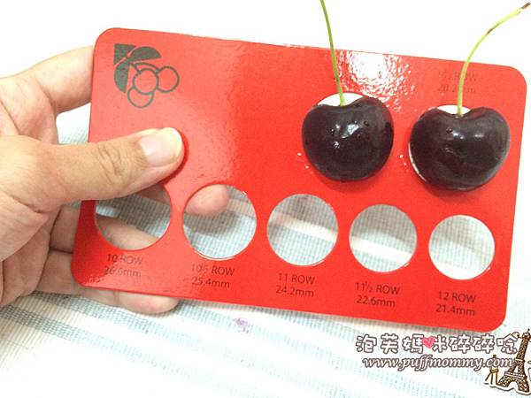 [美食ღ網購] 販奇網頂級紐西蘭紅櫻桃