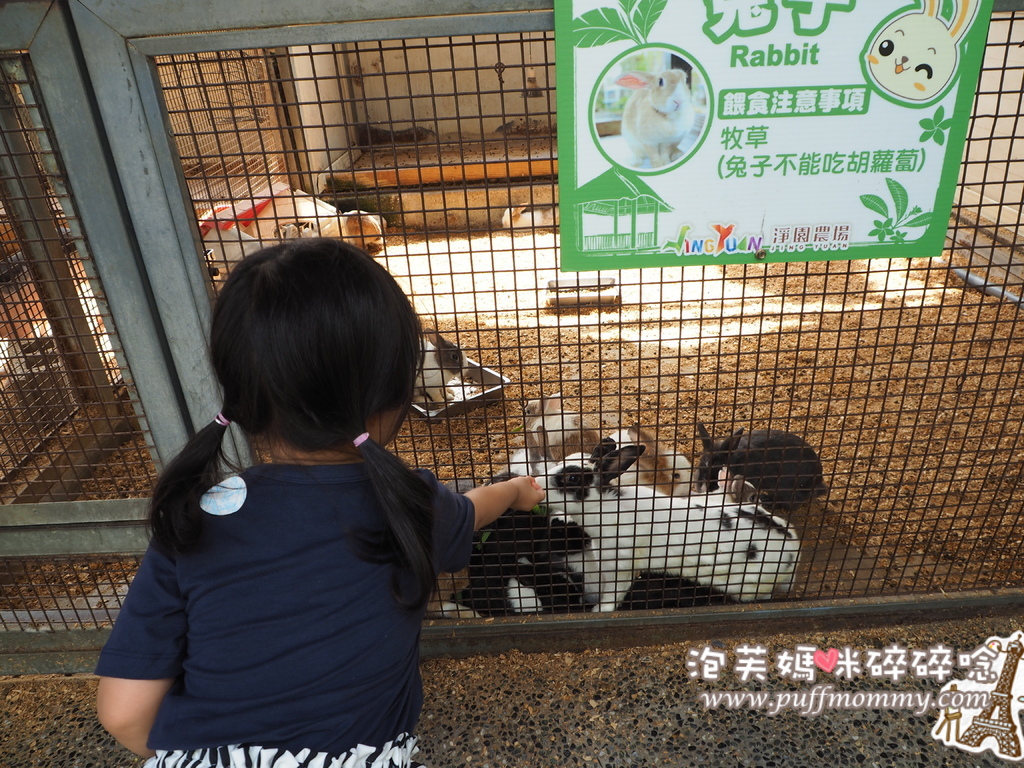 2017/03/22 淨園休閒農場