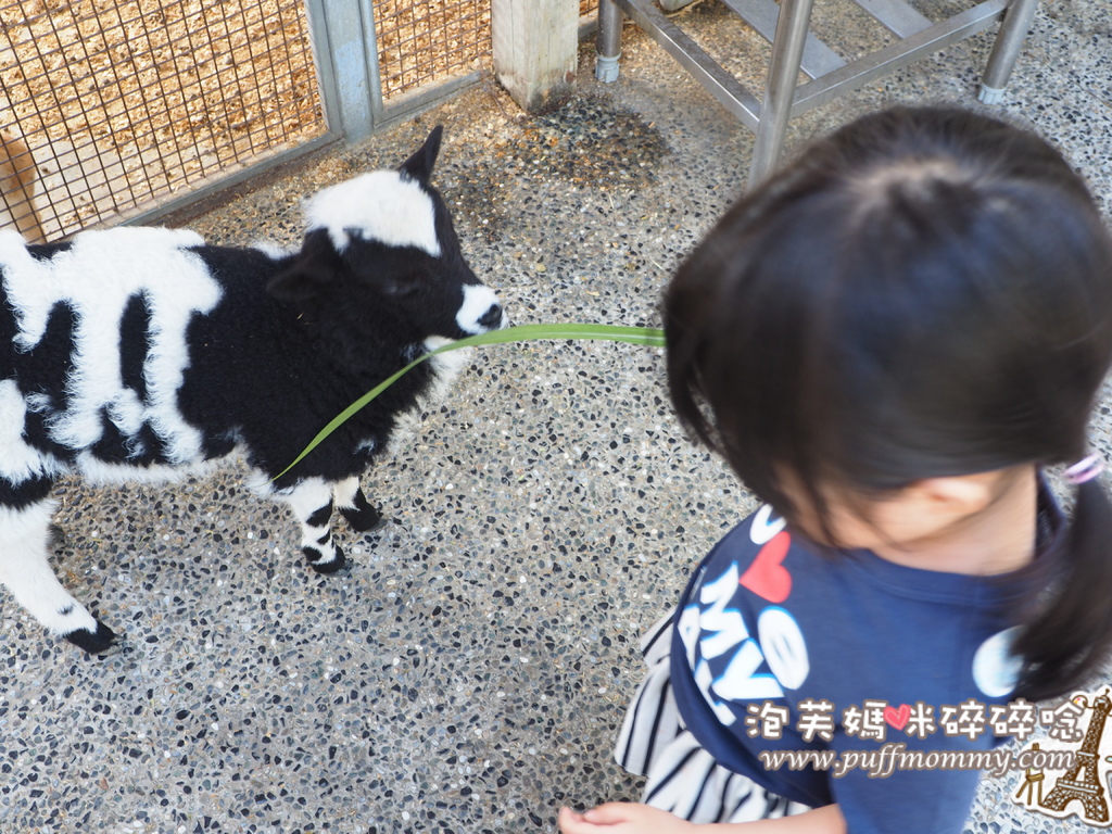 2017/03/22 淨園休閒農場