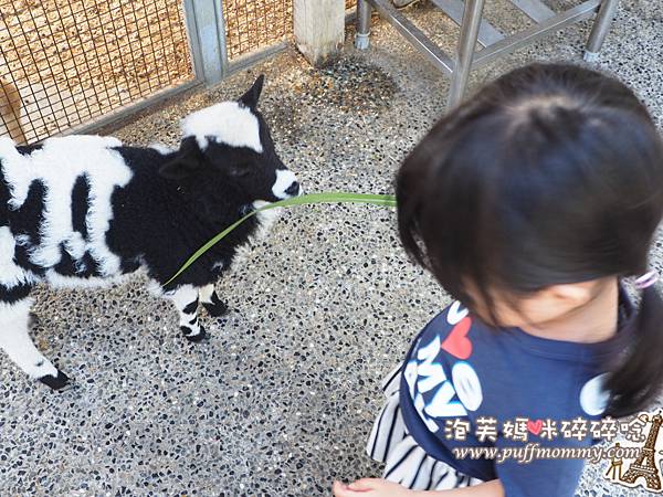 2017/03/22 淨園休閒農場