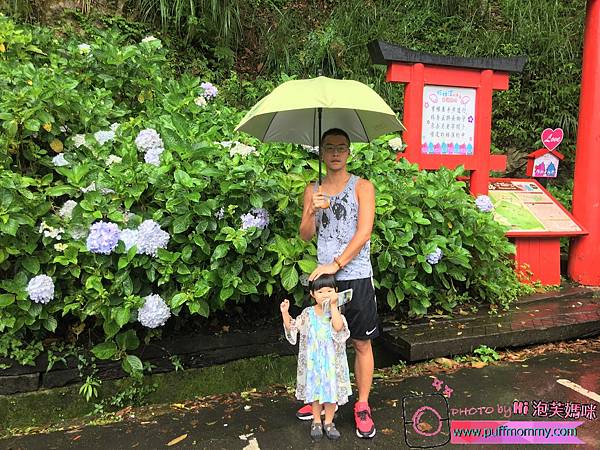 2017/07/04 杉林溪繡球花季