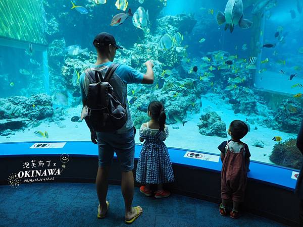 2019/04/14 美麗海水族館