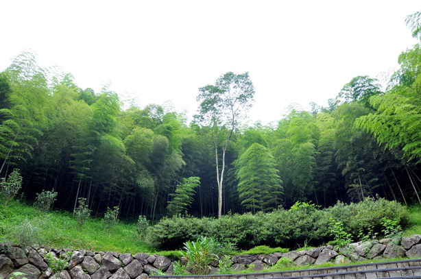 DSC_4507 DSC_4507