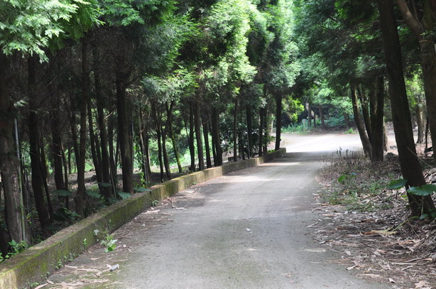 走尋漢番走廊—六溪香路古道