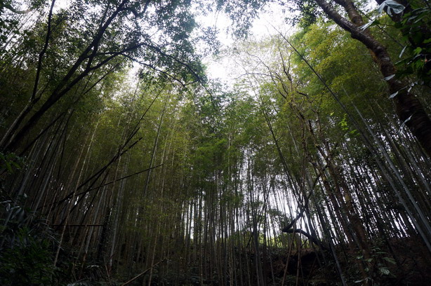 穿越時空驛站—水社寮即景