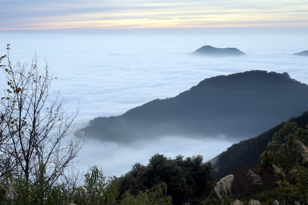 走新中橫看玉山--雲海深處