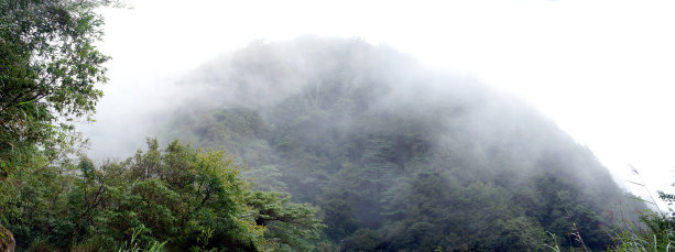 享受迷霧煙嵐—特富野古道森呼吸