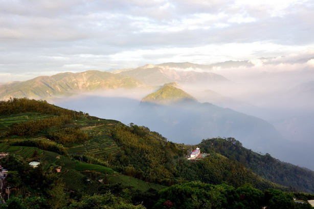 雲霧山林—走碧湖山、二尖山茶園中觀山賞雲趣