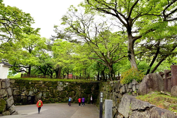 日本九州行2 訪小倉城唐造天守閣 祇園的櫛田神社 走大濠公園運動去 海龜獵人 痞客邦