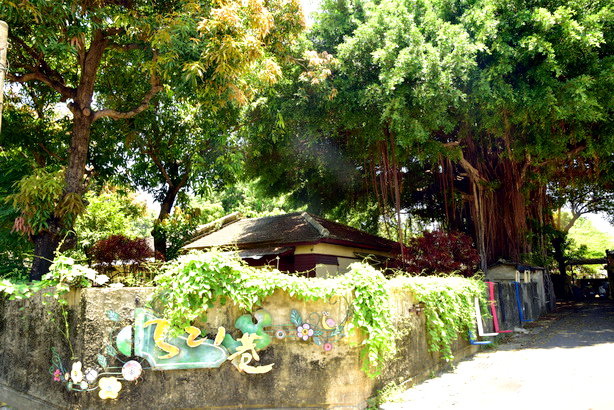 DSC_9571.JPG DSC_9571.JPG