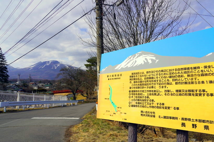 來日本東京近郊輕井澤站單車漫遊~~雲場池(天鵝湖)、榆樹街小