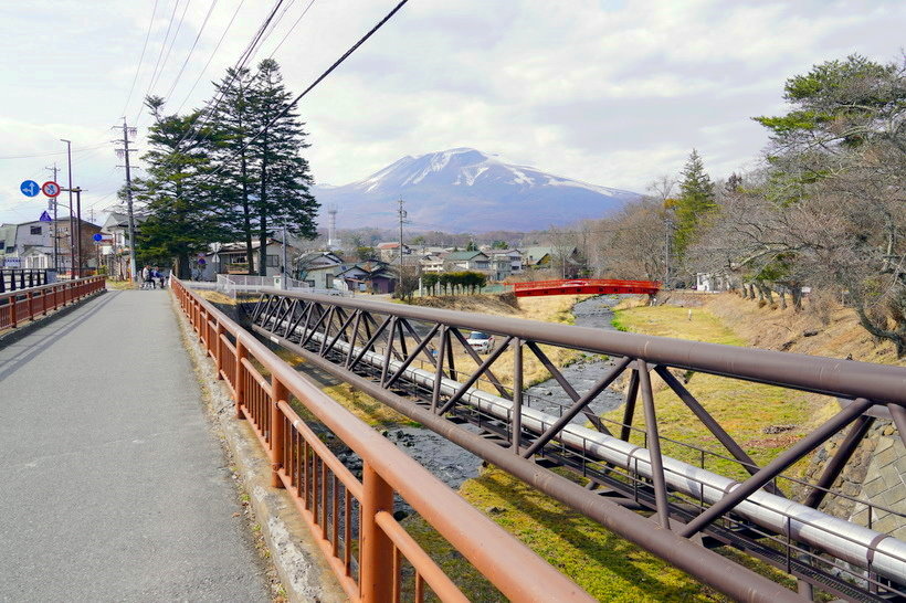 來日本東京近郊輕井澤站單車漫遊~~雲場池(天鵝湖)、榆樹街小