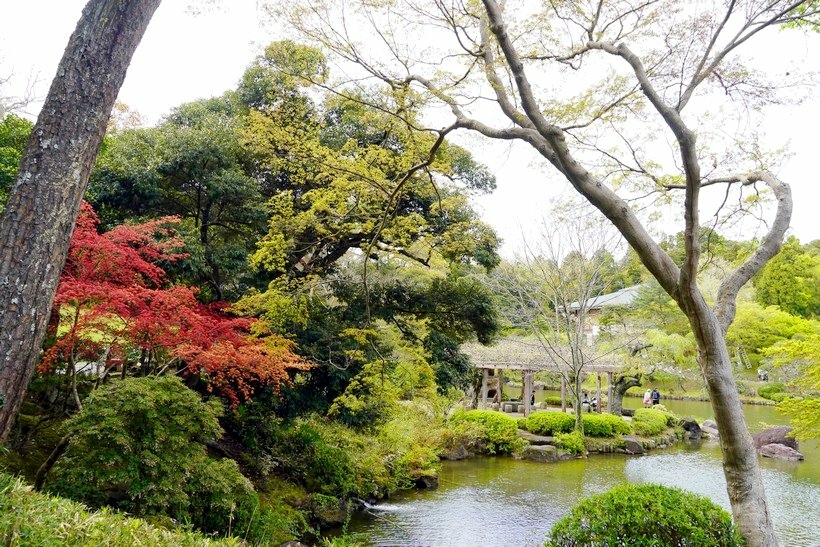 日本東京尋櫻記A~~從參道街走訪千年古蹟新勝寺再到成田山公園