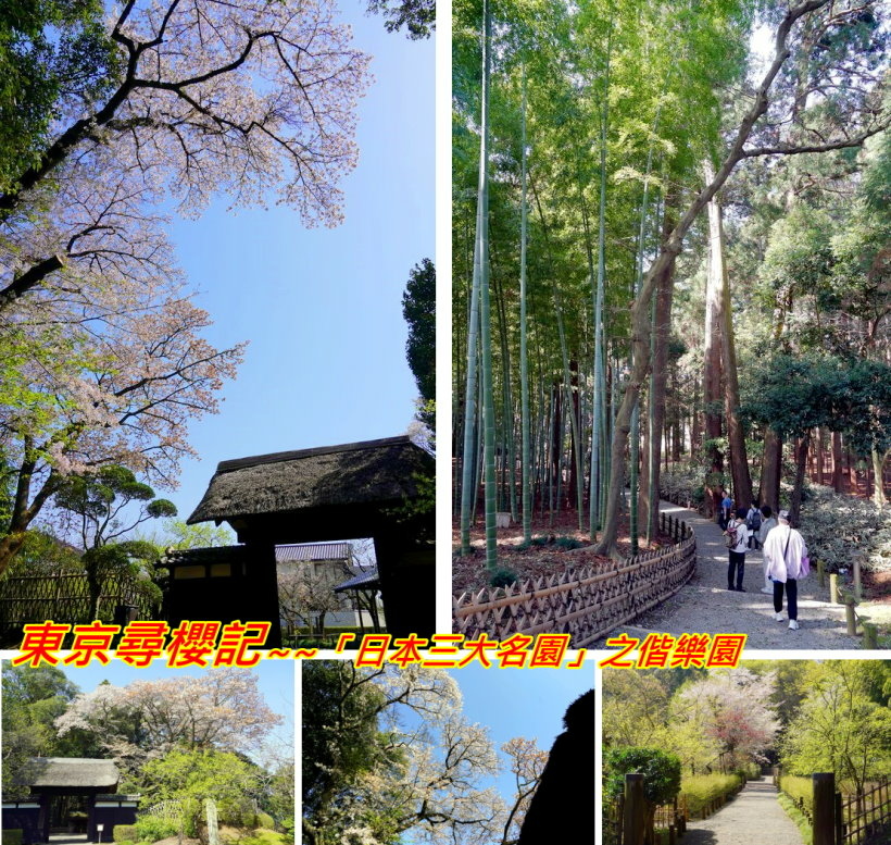 日本東京尋櫻記B~~遊茨城縣水戶市「日本三大名園」之偕樂園