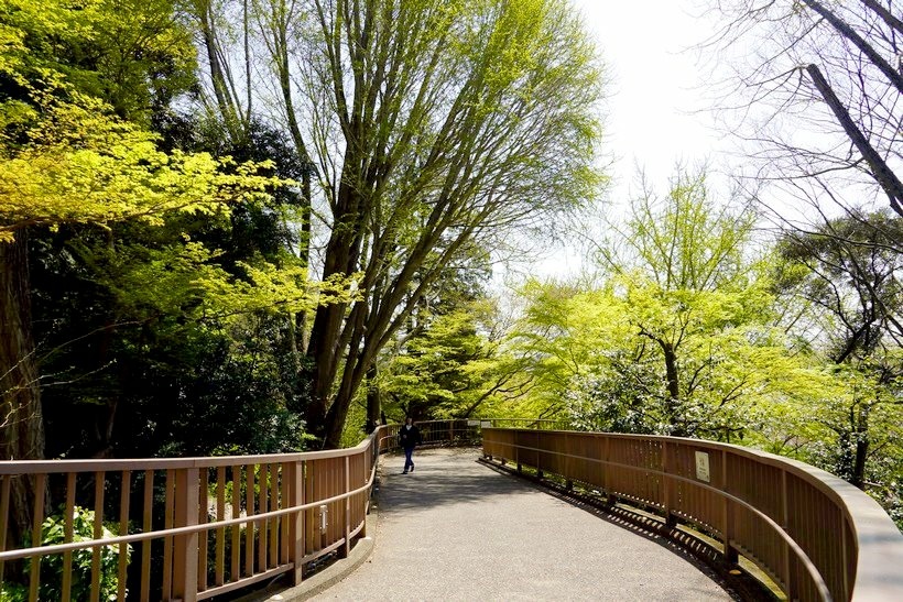 日本東京尋櫻記B~~遊茨城縣水戶市「日本三大名園」之偕樂園