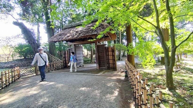 日本東京尋櫻記B~~遊茨城縣水戶市「日本三大名園」之偕樂園