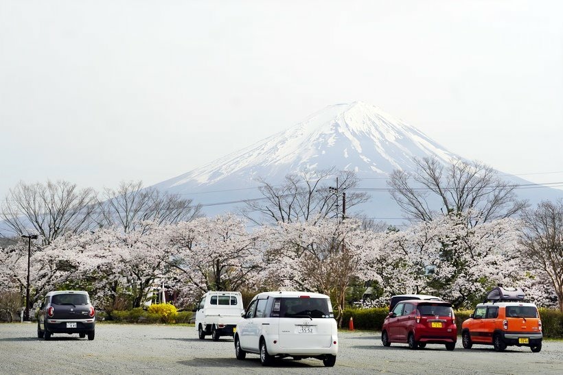 日本東京尋櫻記F~~欣賞「忍野八海」和「河口湖」櫻花與富士山