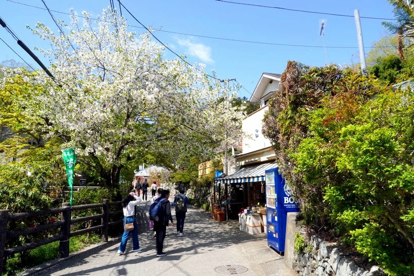 日本東京尋櫻記G~~登東京近郊米其林三星觀光景點「高尾山」