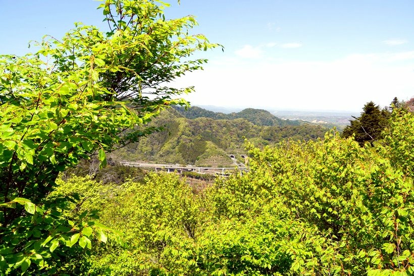 日本東京尋櫻記G~~登東京近郊米其林三星觀光景點「高尾山」