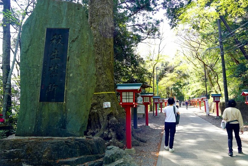 日本東京尋櫻記G~~登東京近郊米其林三星觀光景點「高尾山」