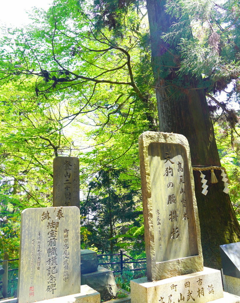 日本東京尋櫻記G~~登東京近郊米其林三星觀光景點「高尾山」