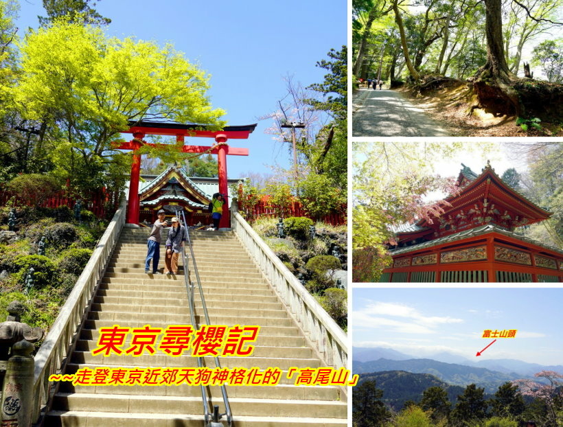 日本東京尋櫻記G~~登東京近郊米其林三星觀光景點「高尾山」