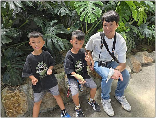 2025.08.23 宜蘭 礁溪 回巢農場Homing 乾淨