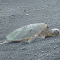 D05-149-Black Sand Beach.JPG