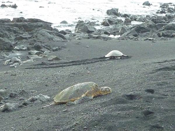 D05-161-Black Sand Beach.JPG D05-161-Black Sand Beach.JPG