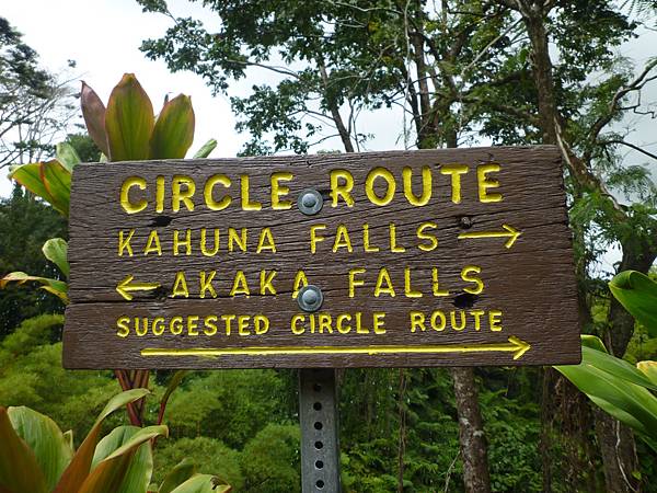 D06-099-Akaka Falls.JPG